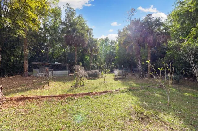 a view of a park with large trees