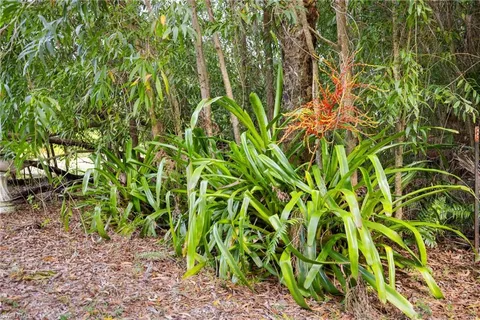 a view of outdoor space and yard