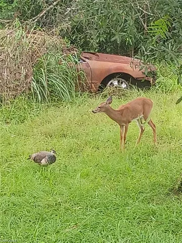 $730,000 | 630 Pioneer Trail, Naples, FL 34117