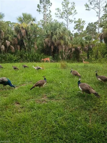 a view of a golf course with a garden