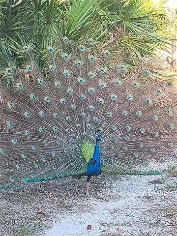a backyard of a house with chairs and table