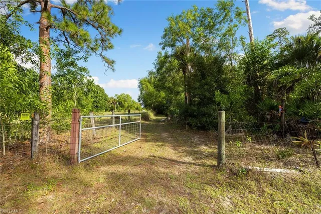a view of a backyard