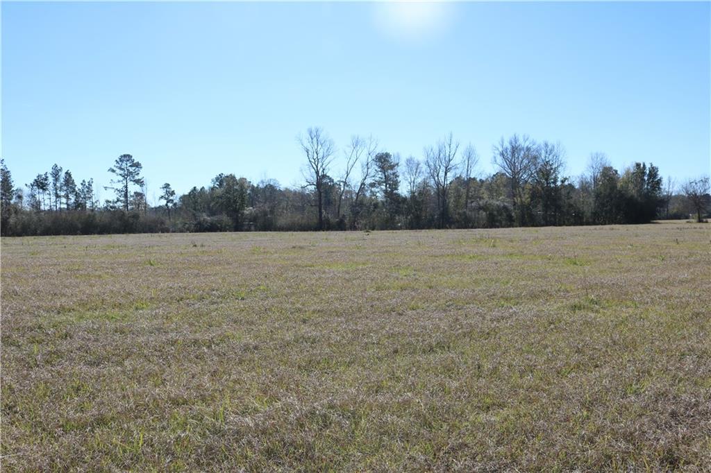 Lot 7 Zack Magee Road Angie, LA 70426 - Photo 3 of 4 Gallery Image 3