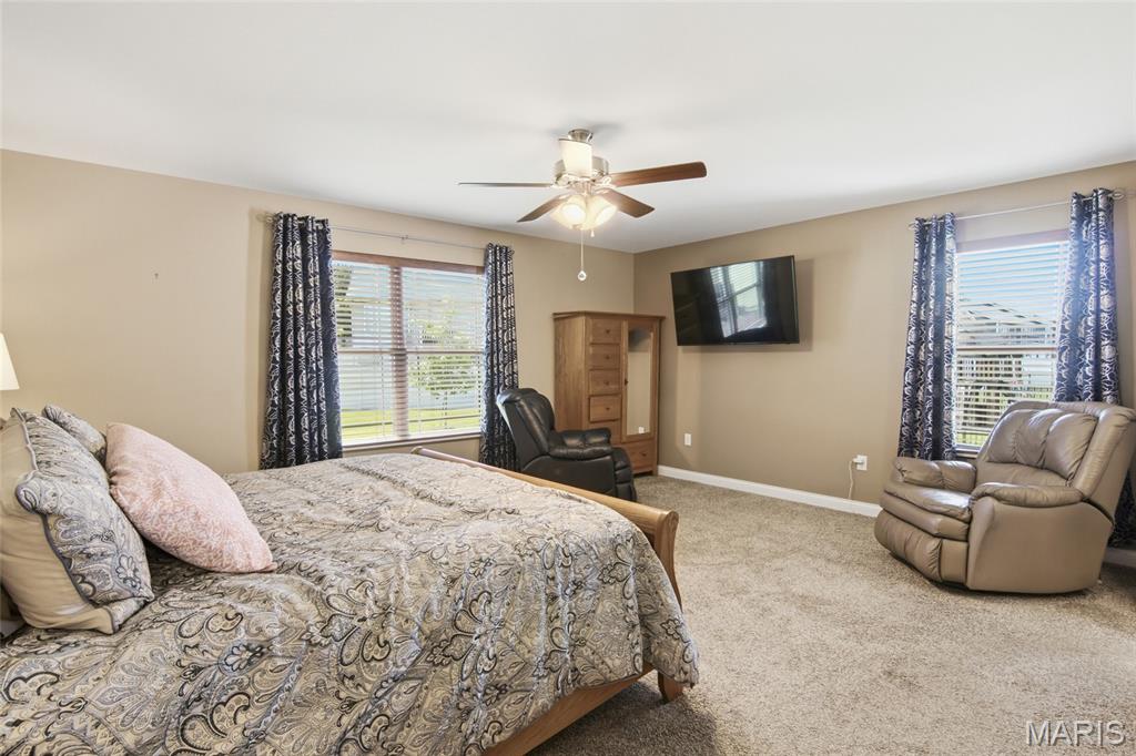 2520 Welsch Drive Shiloh, IL 62221 - Photo 23 of 50