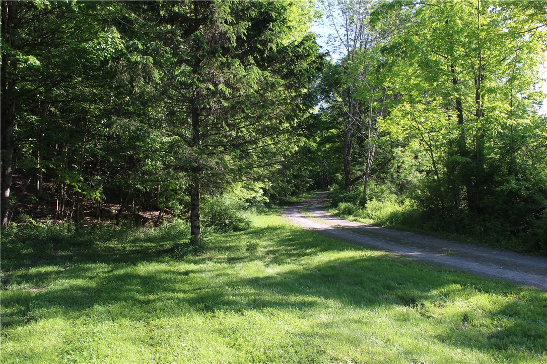 714 Pleasant Valley Road Sherburne, NY 13460 - Photo 11 of 49