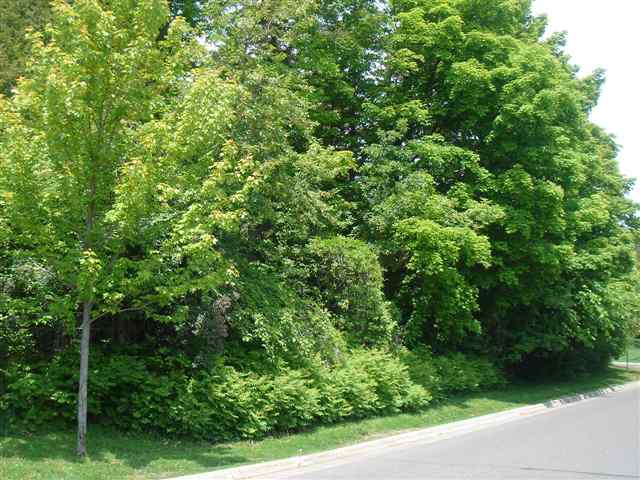Xxxx Greysolon Road Duluth, MN 55812 - Photo 1 of 3 Gallery Image 1