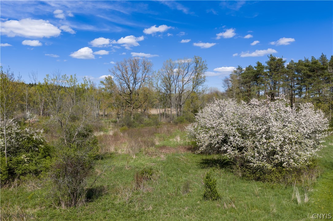 East Lake Road Skaneateles, NY 13152 - Photo 7 of 9