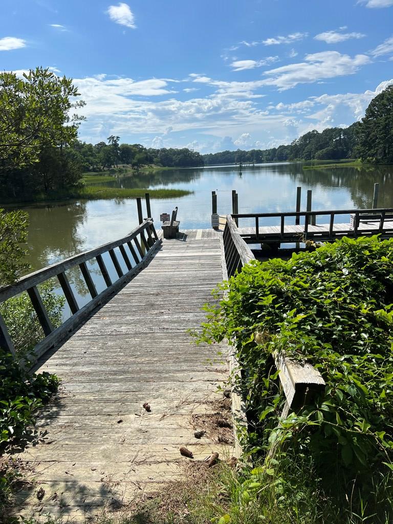 Lot 10 Plum Tree Road, Unit 10 Cape Charles, VA 23310 - Photo 6 of 8