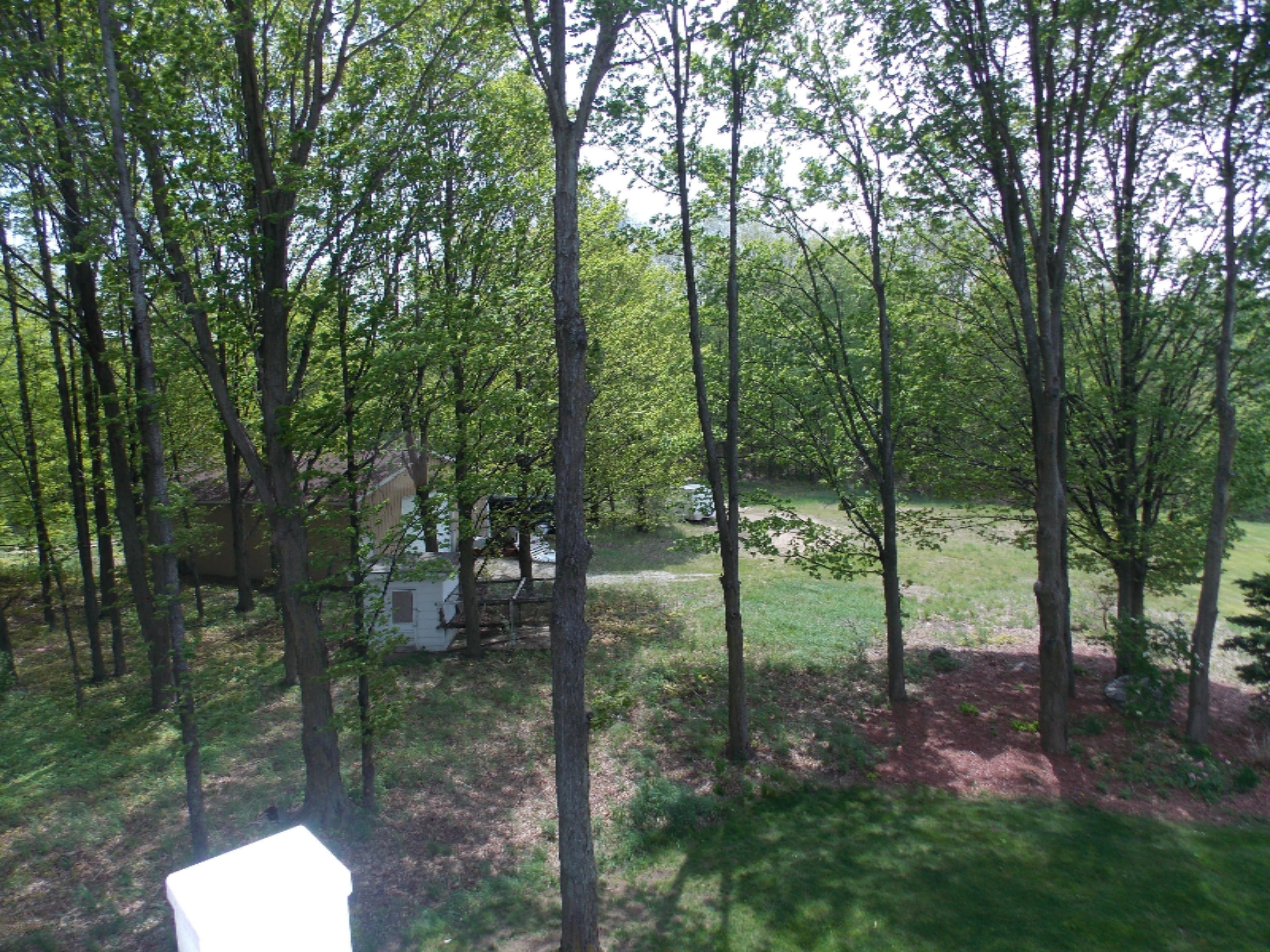3449 West Baker Road Shelby, MI 49455 - Photo 24 of 51 DSCN3066