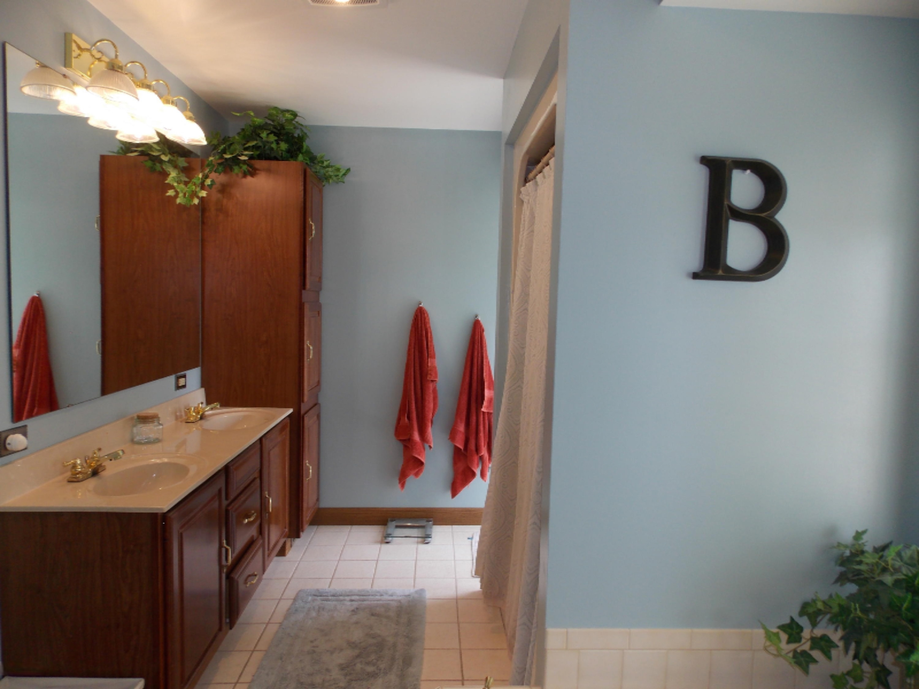 3449 West Baker Road Shelby, MI 49455 - Photo 33 of 51 DSCN3068