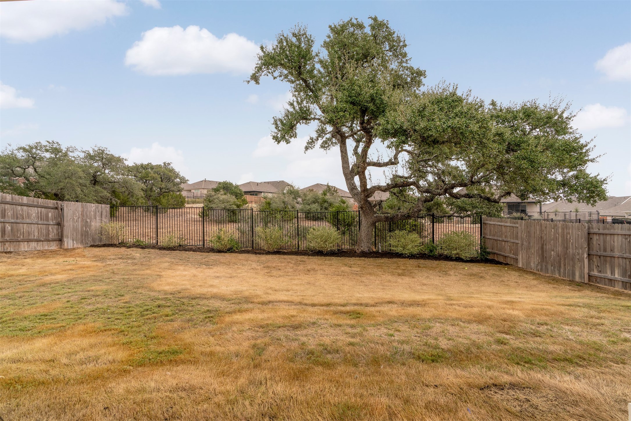 302 Barn Hill Loop Dripping Springs, TX 78620 - Photo 8 of 40 The backyard is anchored by a rare 200-year-old heritage oak, providing abundant shade and a natural focal point that defines the outdoor space