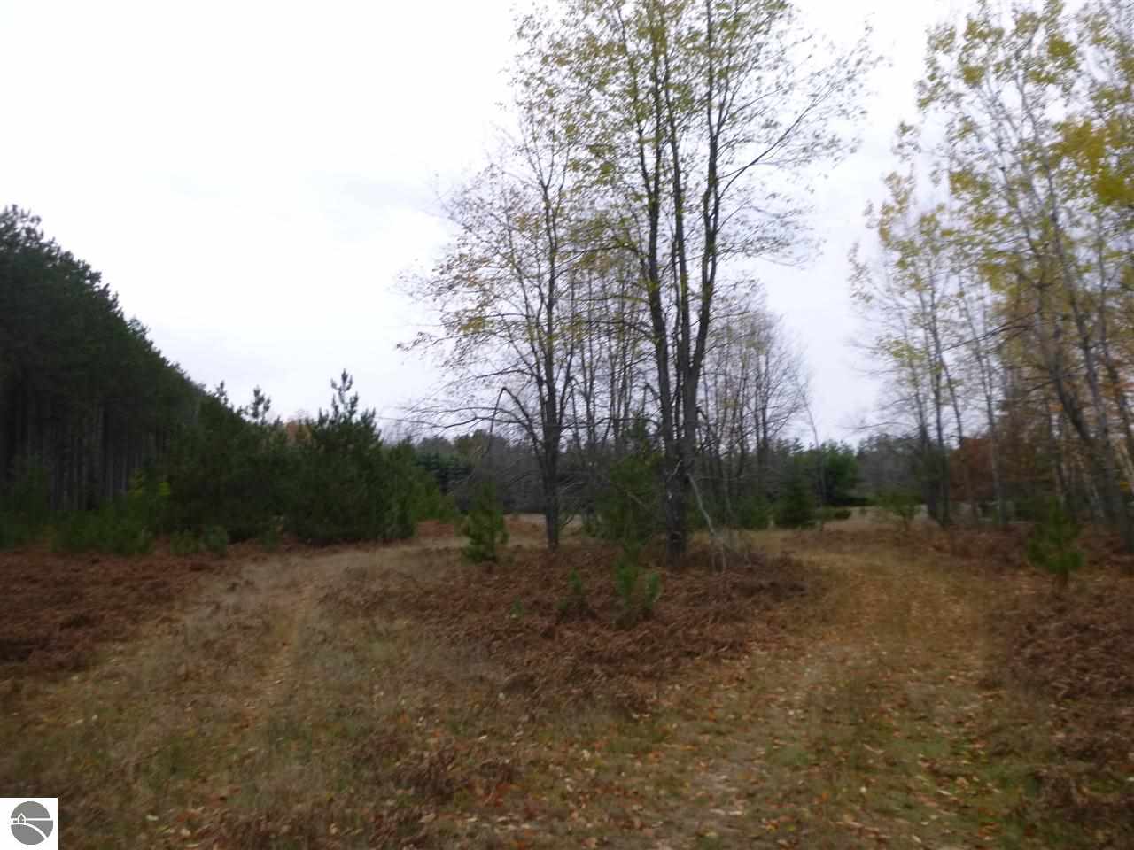 2234 East Duck Lake Road Grawn, MI 49637 - Photo 12 of 28 1777950-11.JPG