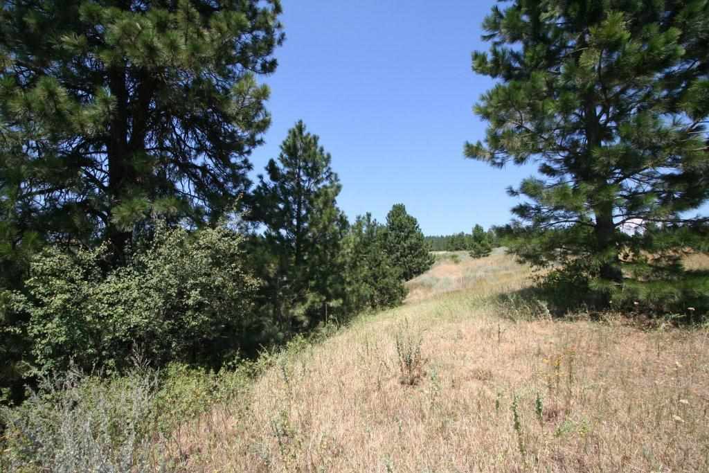 7380 East Big Rock Road, Unit APPROX Spokane, WA 99223 - Photo 14 of 20 Gallery Image 14