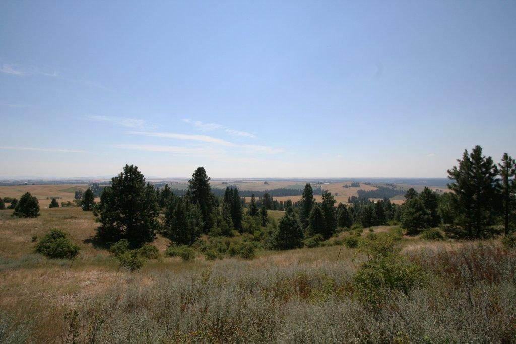 7380 East Big Rock Road, Unit APPROX Spokane, WA 99223 - Photo 3 of 20 Gallery Image 3