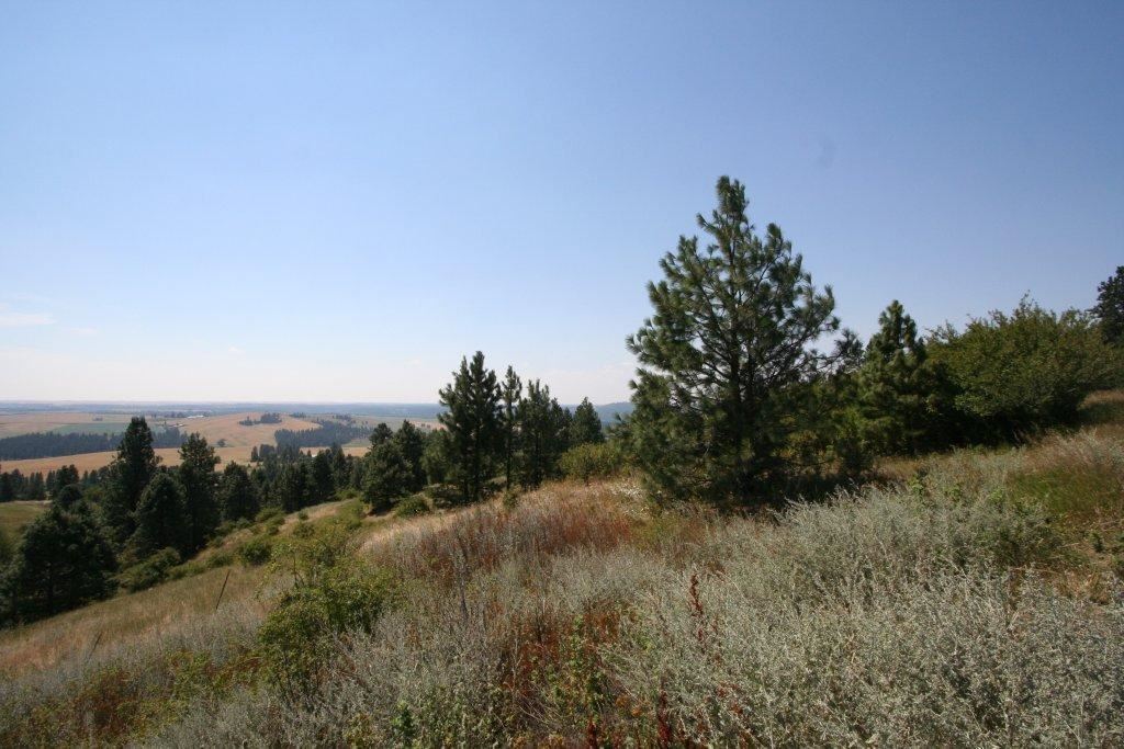 7380 East Big Rock Road, Unit APPROX Spokane, WA 99223 - Photo 4 of 20 Gallery Image 4