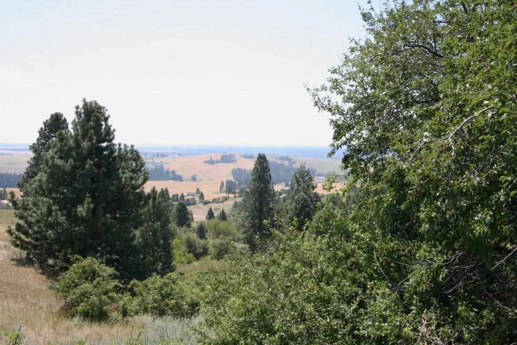 7380 East Big Rock Road, Unit APPROX Spokane, WA 99223 - Photo 5 of 20 Gallery Image 5