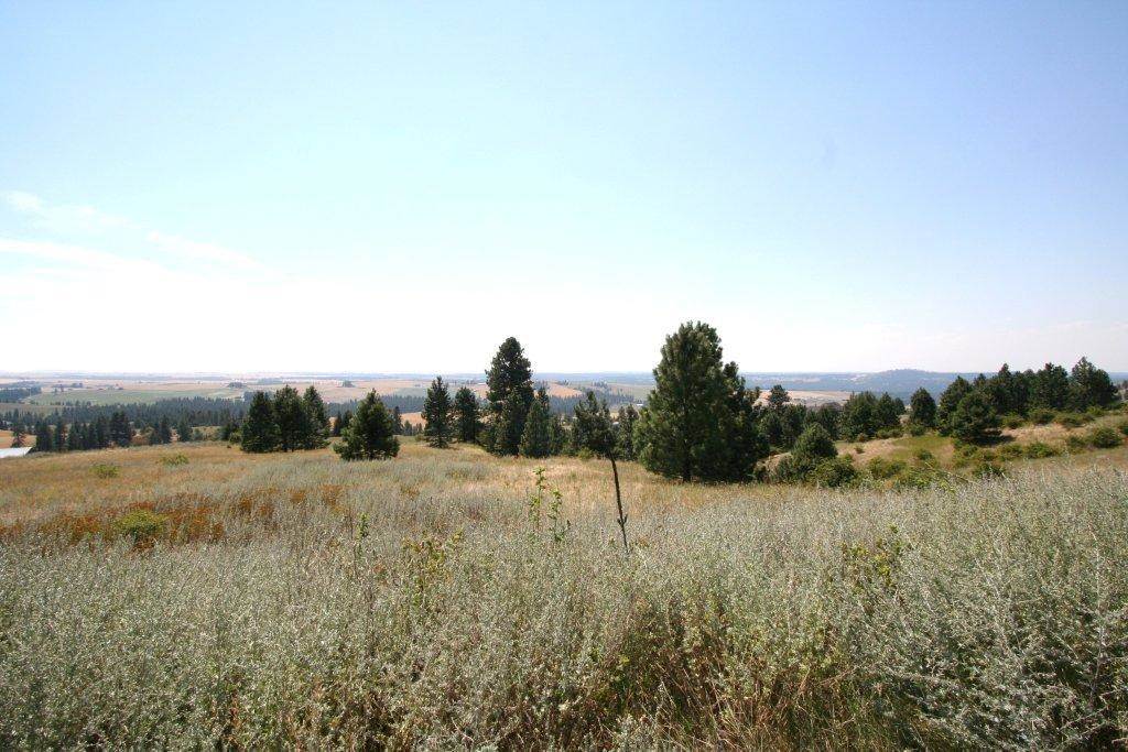 7380 East Big Rock Road, Unit APPROX Spokane, WA 99223 - Photo 6 of 20 Gallery Image 6