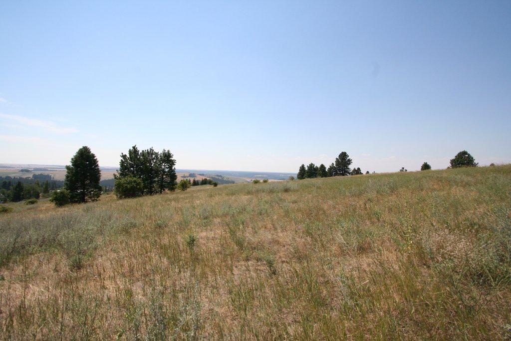 7380 East Big Rock Road, Unit APPROX Spokane, WA 99223 - Photo 7 of 20 Gallery Image 7