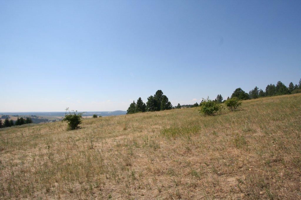 7380 East Big Rock Road, Unit APPROX Spokane, WA 99223 - Photo 8 of 20 Gallery Image 8