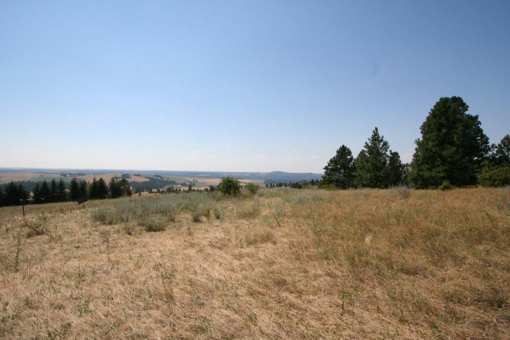 7380 East Big Rock Road, Unit APPROX Spokane, WA 99223 - Photo 9 of 20 Gallery Image 9