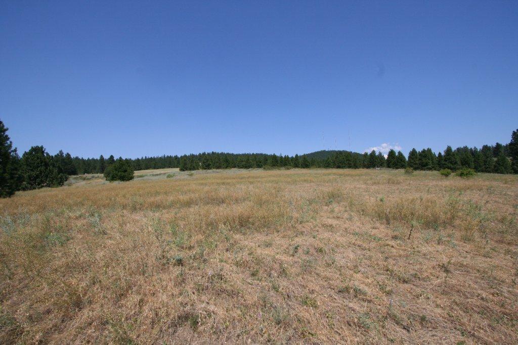 7380 East Big Rock Road, Unit APPROX Spokane, WA 99223 - Photo 10 of 20 Gallery Image 10