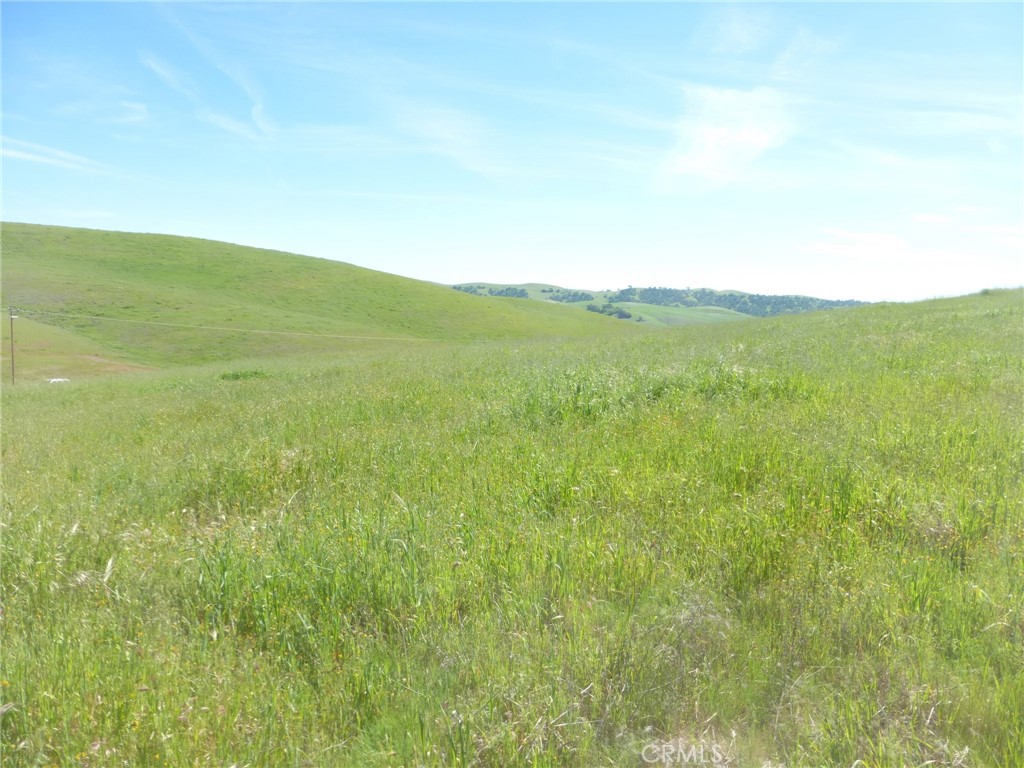 0 Douglas Road San Miguel, CA 93451 - Photo 42 of 51