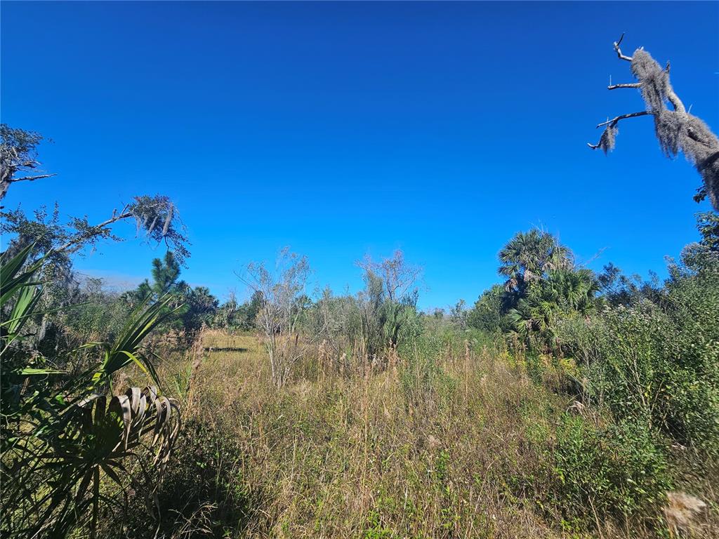 786 Fort Florida Road DeBary, FL 32713 - Photo 2 of 7 a view of a city