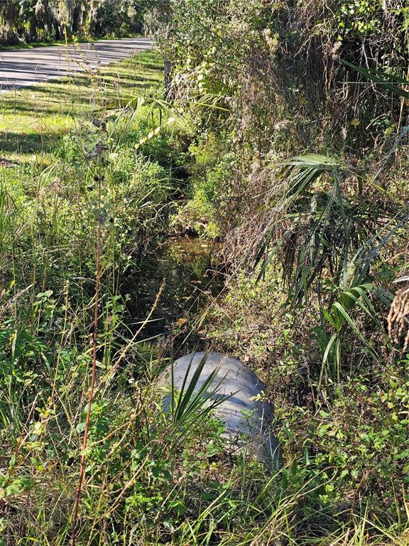786 Fort Florida Road DeBary, FL 32713 - Photo 3 of 7 a view of outdoor space and trees