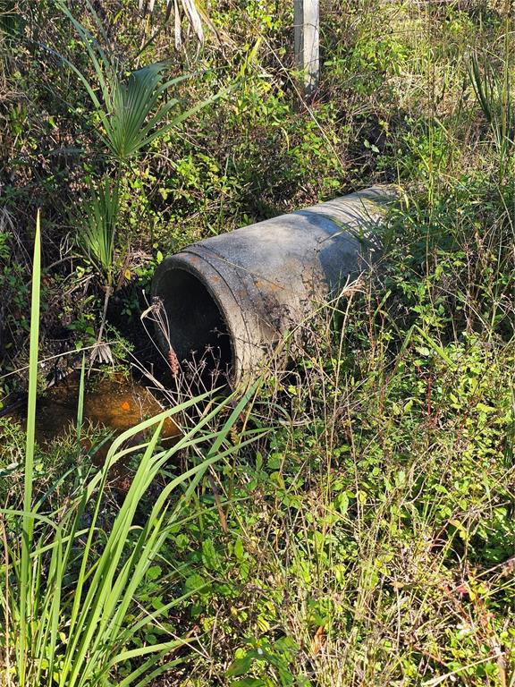 786 Fort Florida Road DeBary, FL 32713 - Photo 5 of 7 a view of a yard