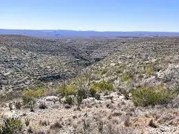 $110,000 | 0 Tract 1, Almont, CO 81210