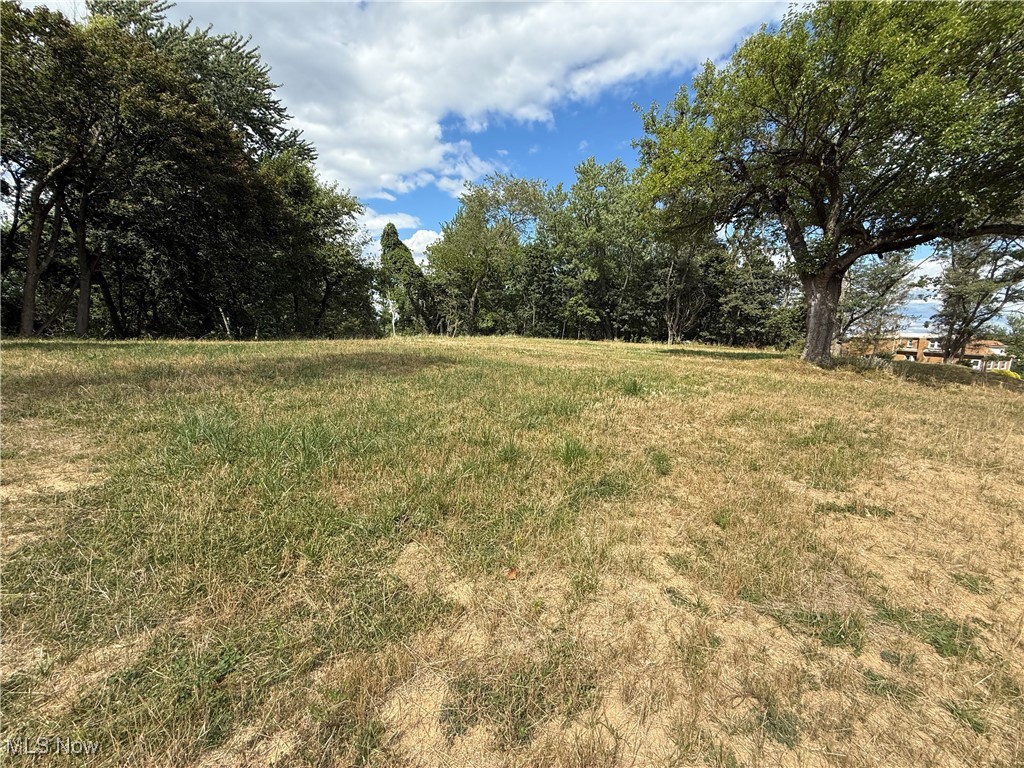 408 East High Street Flushing, OH 43977 - Photo 4 of 13 View of yard featuring a view of rural / pastoral area