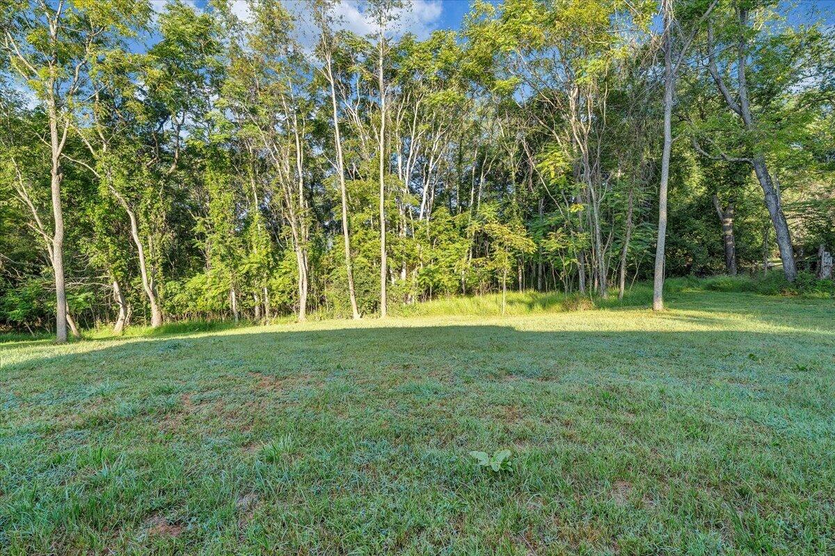 140 Scales Road Northeast Floyd, VA 24091 - Photo 22 of 34 23-MIB03288