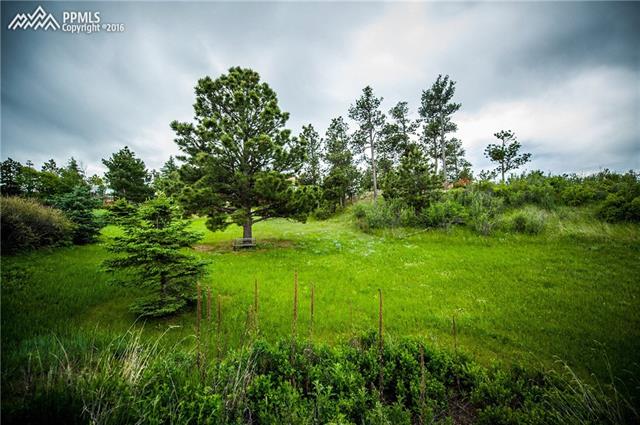 11005 South Holmes Road Colorado Springs, CO 80908 - Photo 22 of 25 Gallery Image 22