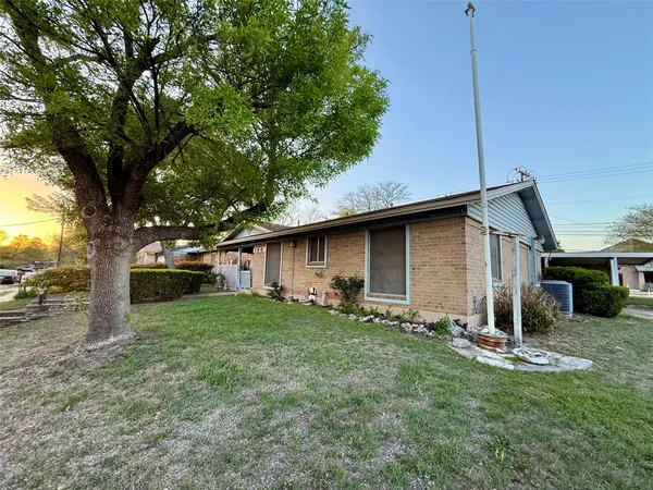 a backyard of a house with plants and large tree