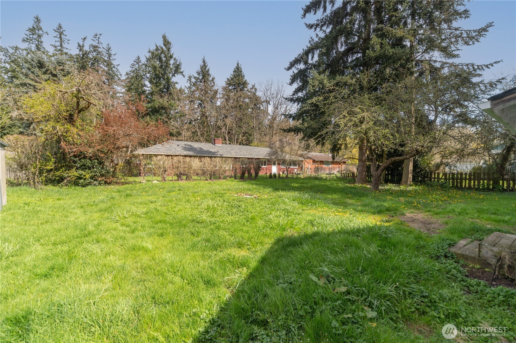 251 Arden Street Port Hadlock, WA 98339 - Photo 16 of 20 a view of a park with large trees