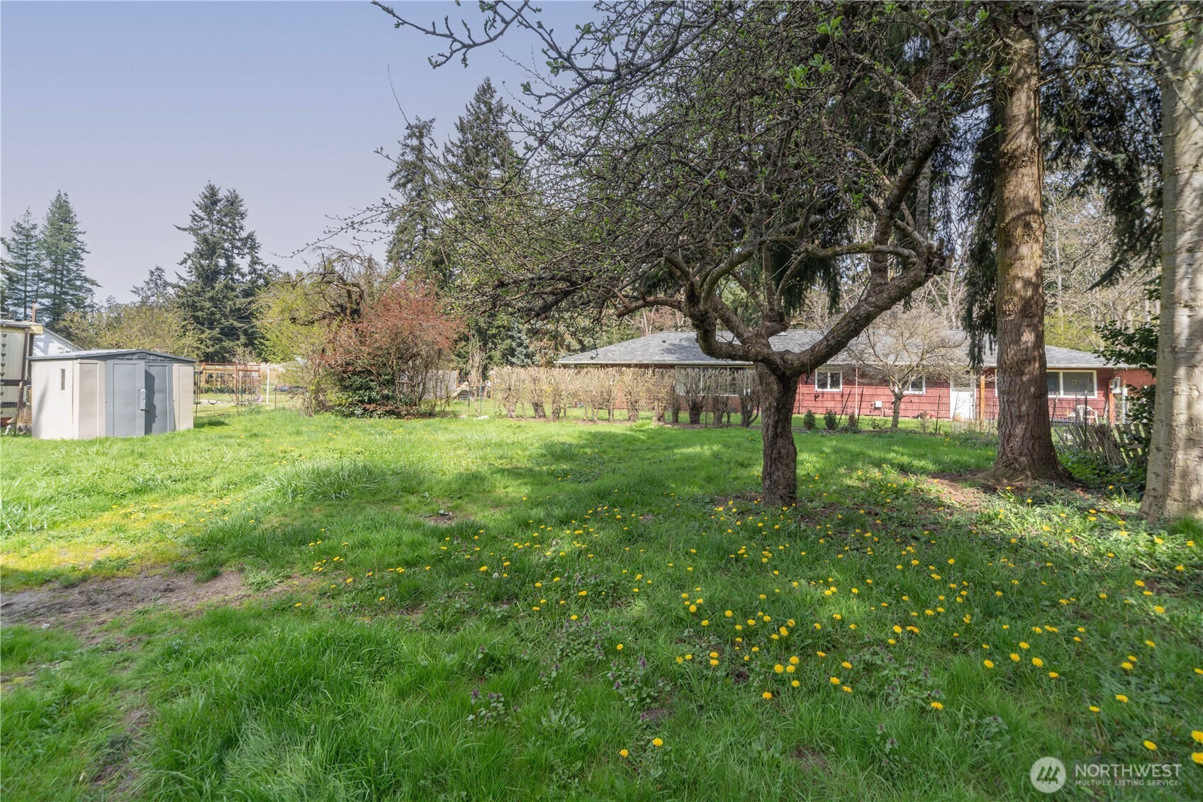 251 Arden Street Port Hadlock, WA 98339 - Photo 17 of 20 a view of a house with backyard and a tree