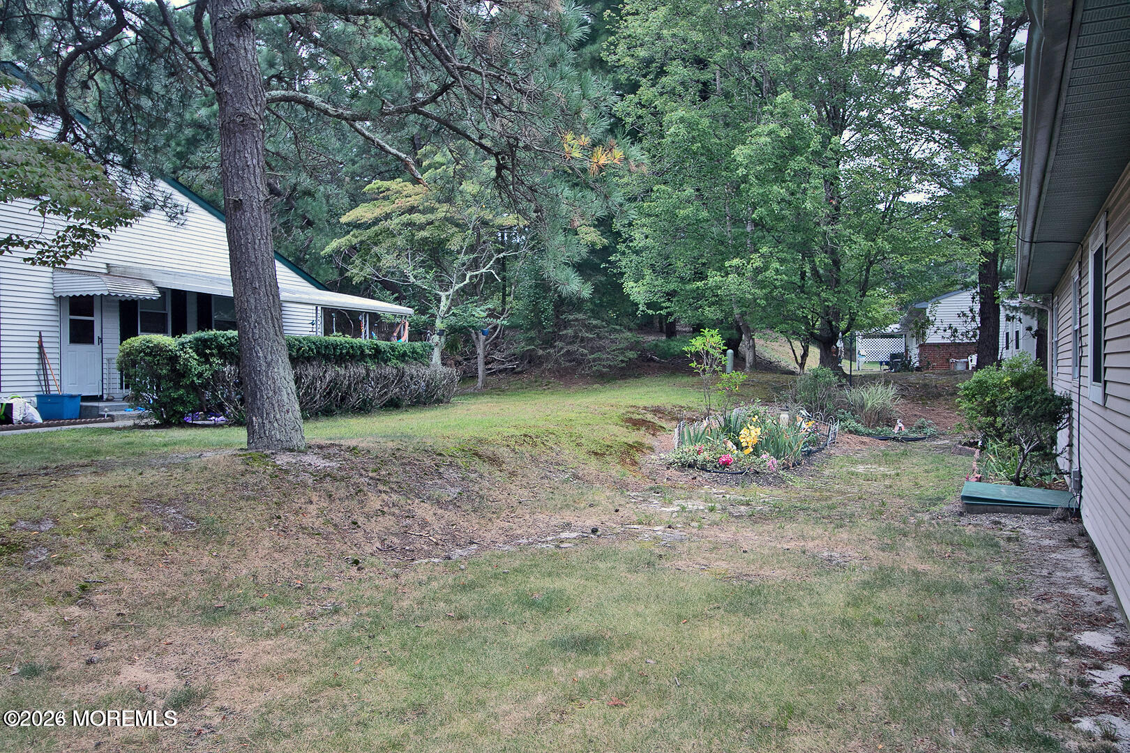 12 A Sunset Road Whiting, NJ 08759 - Photo 20 of 25 a view of a yard with a tree