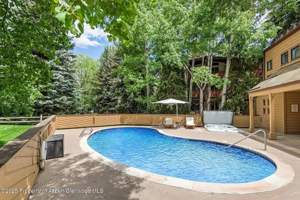 $40,000 | 625 South W End Street, Unit 8, Aspen, CO 81611