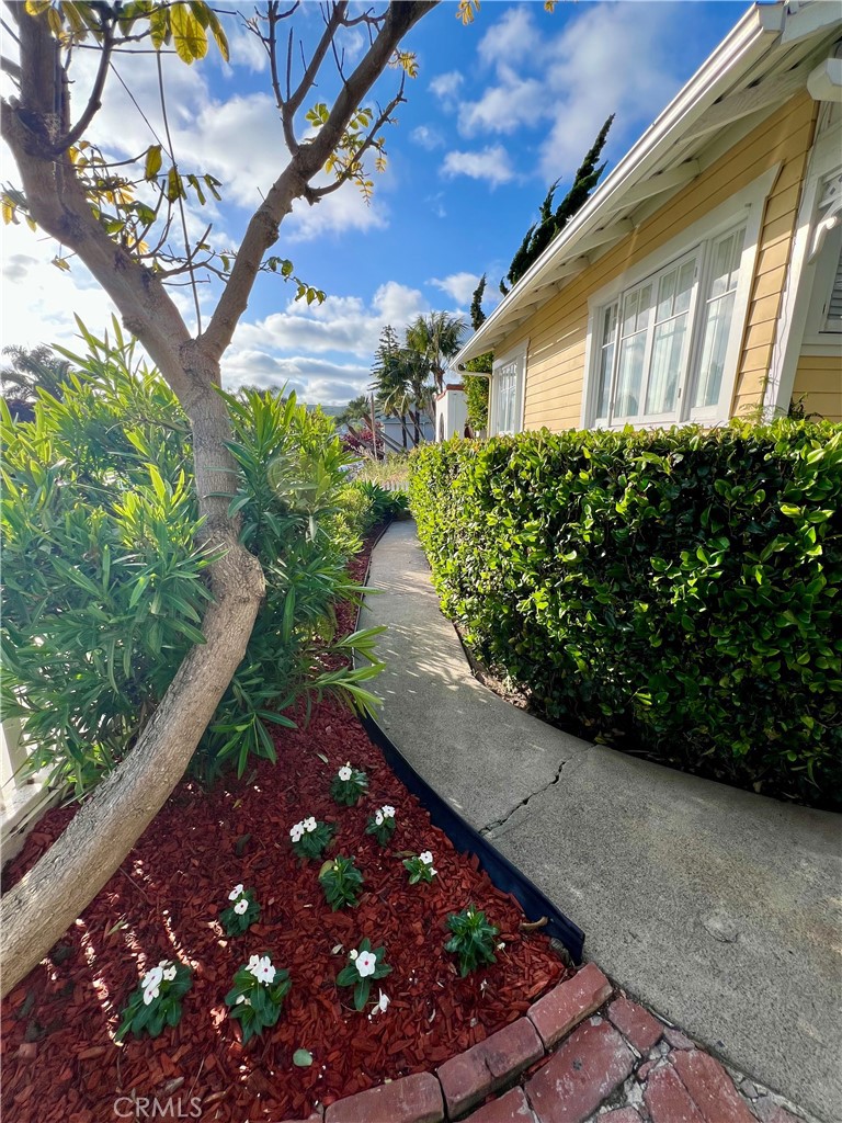 556 Through Street Laguna Beach, CA 92651 - Photo 29 of 30 a view of a garden