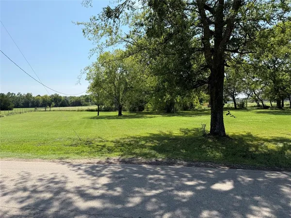 a view of a trees in a park