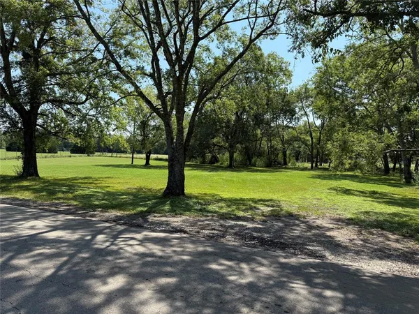 a view of a grassy field with trees