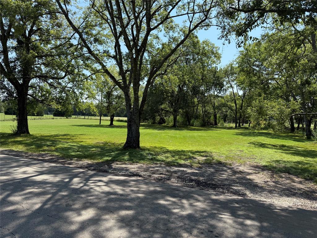 1049 Industrial Boulevard Point, TX 75472 - Photo 12 of 15 a view of a trees in a park