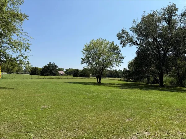 a view of a field of grass and trees
