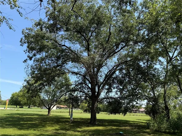 a big yard with large trees