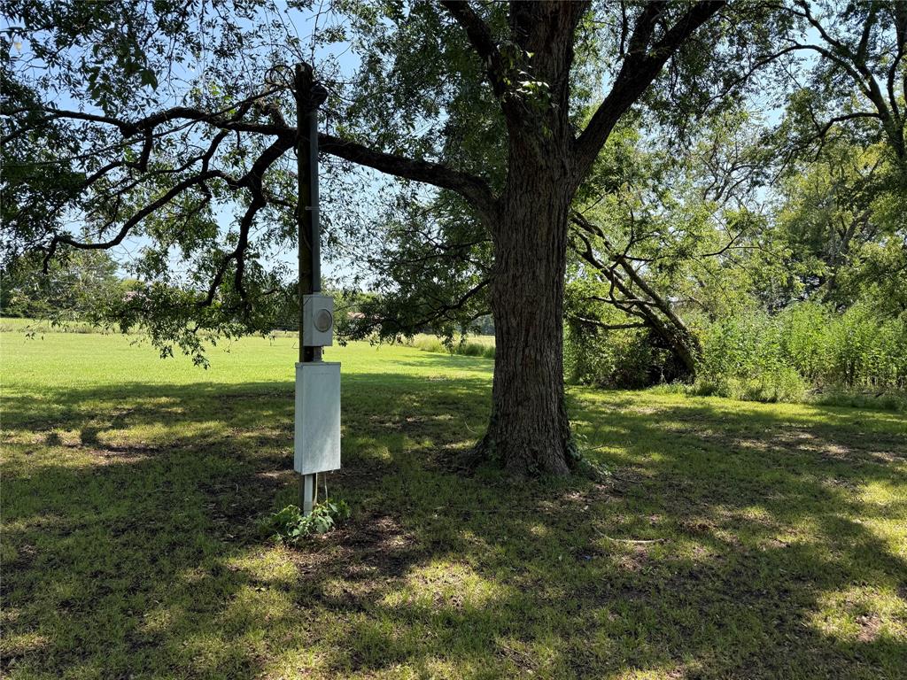 1049 Industrial Boulevard Point, TX 75472 - Photo 7 of 15 a view of a tree in a yard