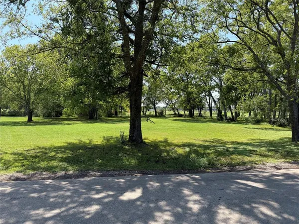 a view of a park with large trees