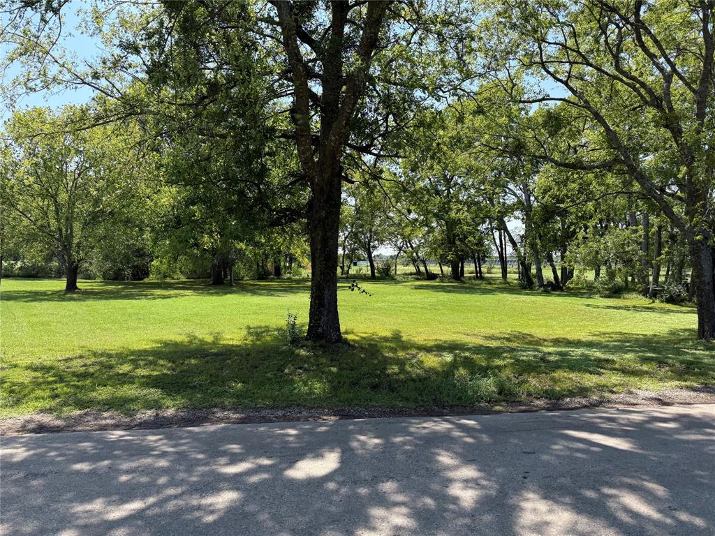 1049 Industrial Boulevard Point, TX 75472 - Photo 10 of 15 a view of a park with large trees