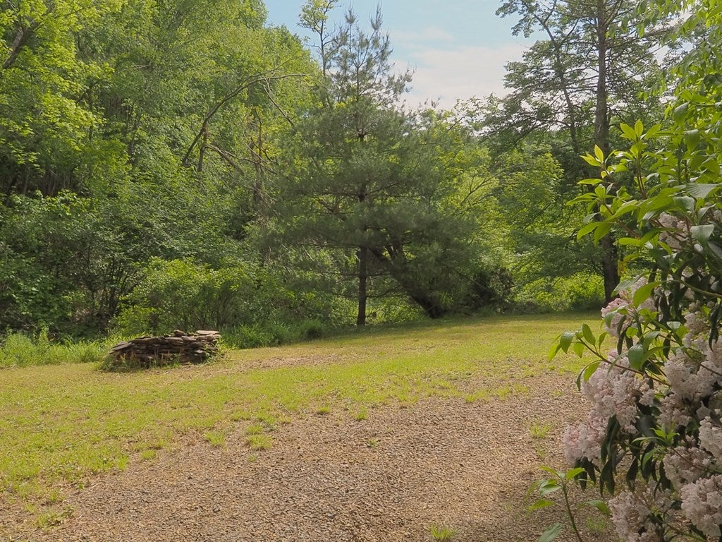 3263 Millstone Road Woodlawn, VA 24381 - Photo 69 of 74 Gallery Image 69