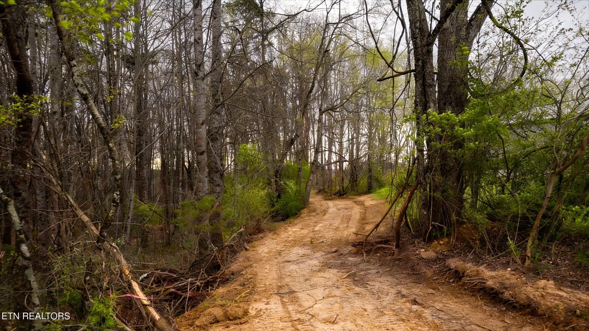0 Pleasant View Loop Clinton, TN 37716 - Photo 2 of 12