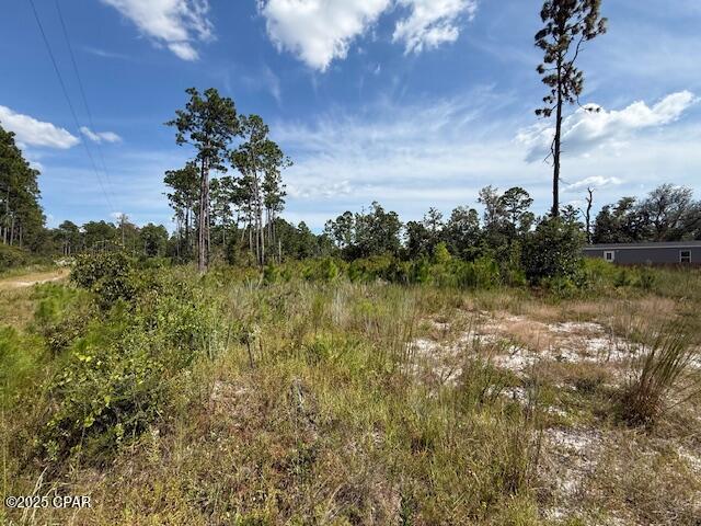 0 Nelson Road Southport, FL 32409 - Photo 3 of 11 Gallery Image 3